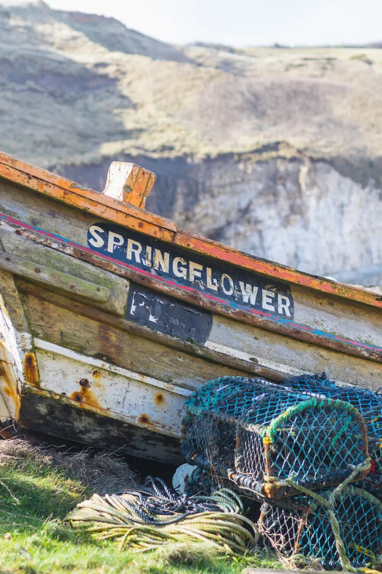 The Springflower